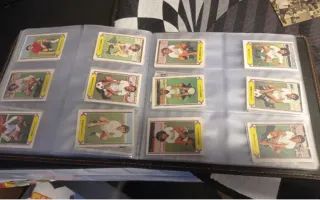 350 cromos Liga 81-82 sin repetir recuperados y