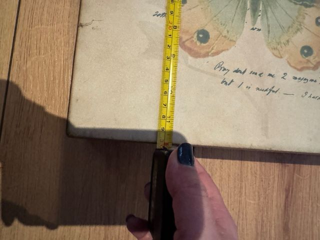 3 Quadros Decorativos Borboletas