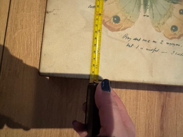 3 Quadros Decorativos Borboletas