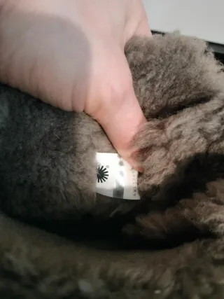 Botas UGG Marrones con Lazos 38.