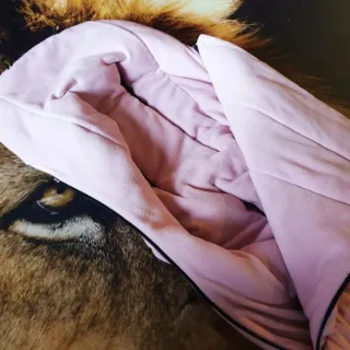 Saco rosa soft pink bugaboo