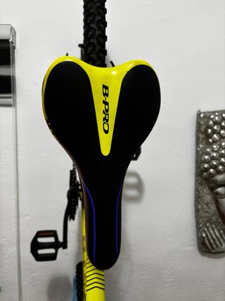Bicicleta B-Pro
