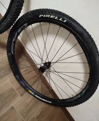 Llantas 29 Evoy + Cubiertas Pirelli