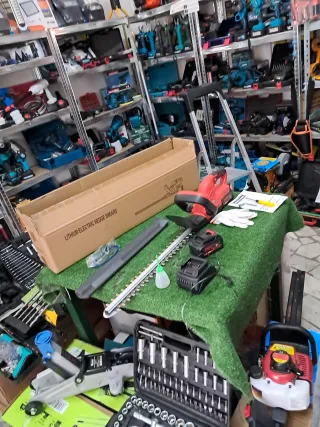 Tagliasiepe a doppia batteria 21V