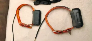 Garmin Astro 320 + 2 collares DC40