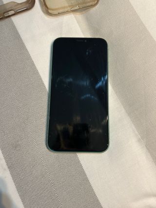 iPhone 11 Verde + 3 custodie