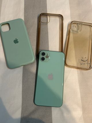 iPhone 11 Verde + 3 custodie