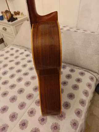 Guitarra Vicente Tatay Vintage