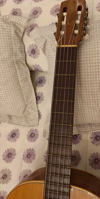 Guitarra Vicente Tatay Vintage