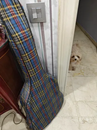 Guitarra Vicente Tatay Vintage