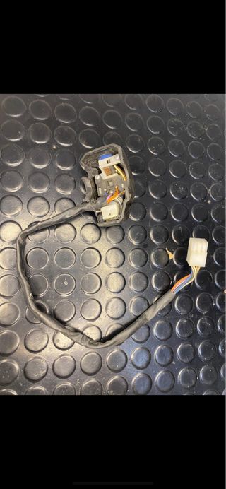 Piña intermitentes hispania ryz