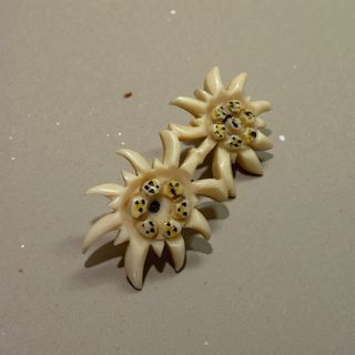 Antica parure spilla e orecchini stella alpina