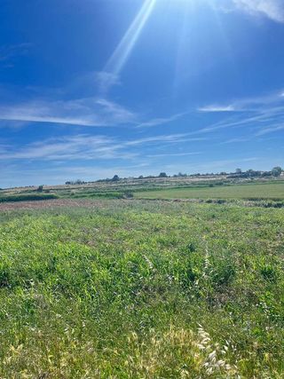 Terreno en venta en Pinseque