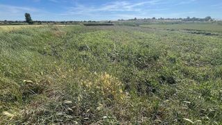 Terreno en venta en Pinseque