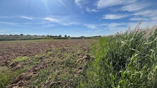 Terreno en venta en Pinseque
