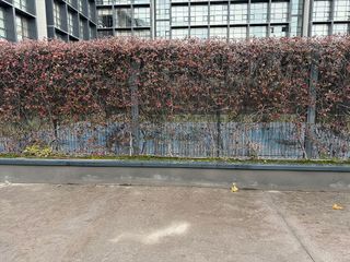 Dúplex en alquiler en Polígono Industrial Sur en San Sebastián de los Reyes