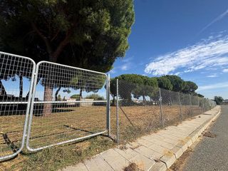 Terreno en venta en Almensilla