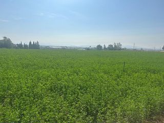 Terreno en venta en Rural en Jerez de la Frontera