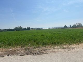 Terreno en venta en Rural en Jerez de la Frontera