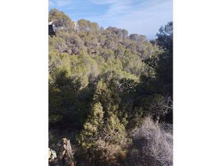 Terreno en venta en Náquera