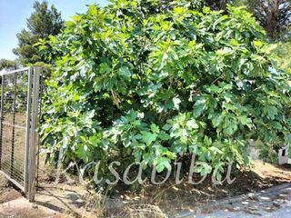 Terreno en venta en Urbanizaciones en Llíria