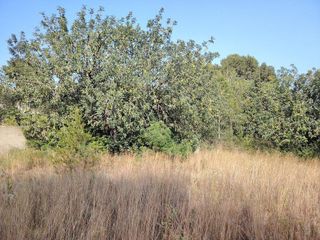 Solar en venta en Parque de la Bombilla-Pla de Rascanya en Llíria