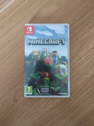 Minecraft Nintendo Switch