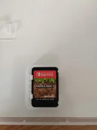 Minecraft Nintendo Switch