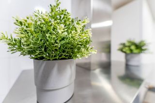 Piso en alquiler en Sur - PAU 4 en Móstoles