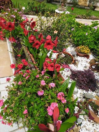 Chalet en venta en Neda