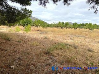 Terreno en venta en Caudete