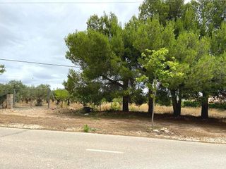 Terreno en venta en Caudete