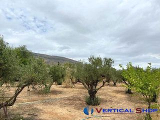 Terreno en venta en Caudete