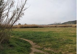 Terreno en venta en Centre-El Pedró en Palamós