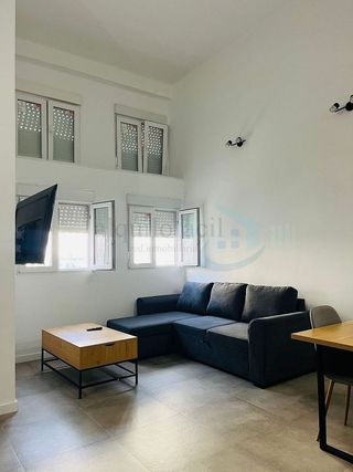 Piso en alquiler en Parque Ayala - Jardín de la Abadía - Huelín en Málaga