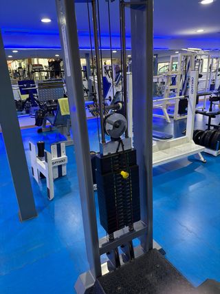 Máquina Gym 80 - Biceps