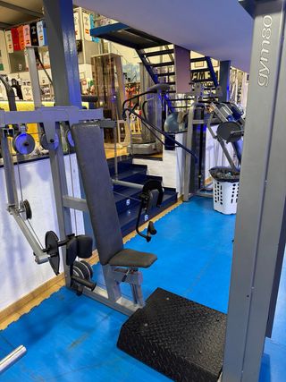 Máquina Gym 80 - Biceps