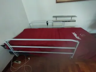 Cama Eléctrica Articulada