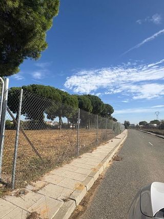 Terreno en venta en Almensilla