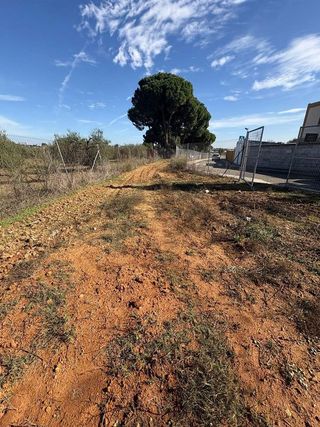Terreno en venta en Almensilla