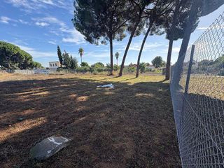 Terreno en venta en Almensilla