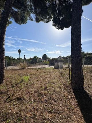 Terreno en venta en Almensilla
