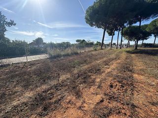 Terreno en venta en Almensilla