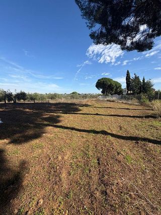 Terreno en venta en Almensilla