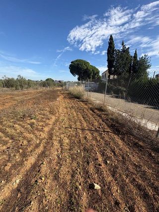 Terreno en venta en Almensilla