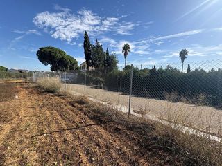 Terreno en venta en Almensilla