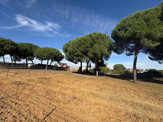 Terreno en venta en Almensilla