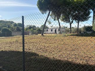 Terreno en venta en Almensilla