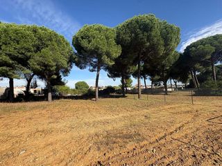 Terreno en venta en Almensilla