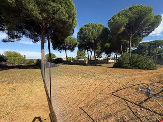 Terreno en venta en Almensilla